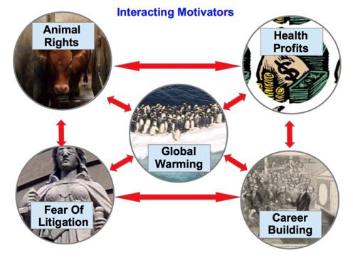 motivating-animal-testing-elimination