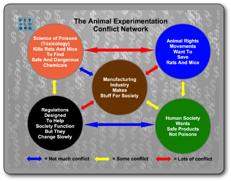 animal-testing-infographic