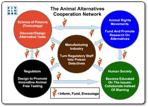eliminating-animal-testing-infographic
